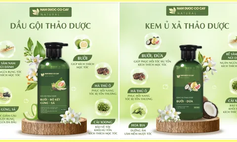 Nam Dược Cỏ Cây và hành trình khẳng định vị thế bằng công nghệ & kiểm định khắt khe