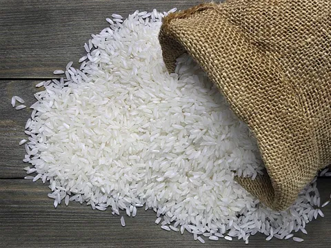Giá lúa gạo hôm nay ngày 5/10: Đầu tuần ổn định